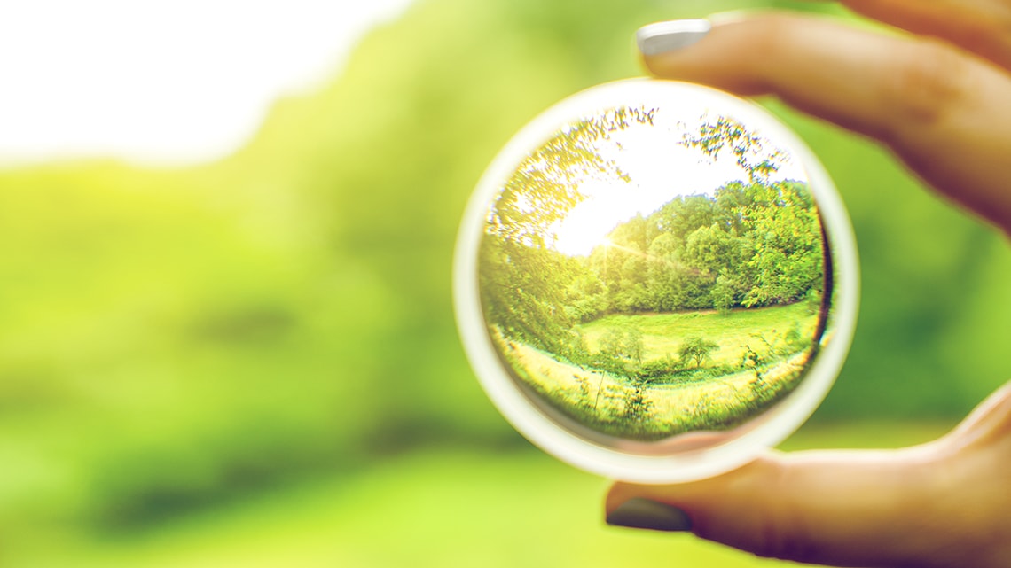 Photograph of a person holding a lens shown against a forest setting